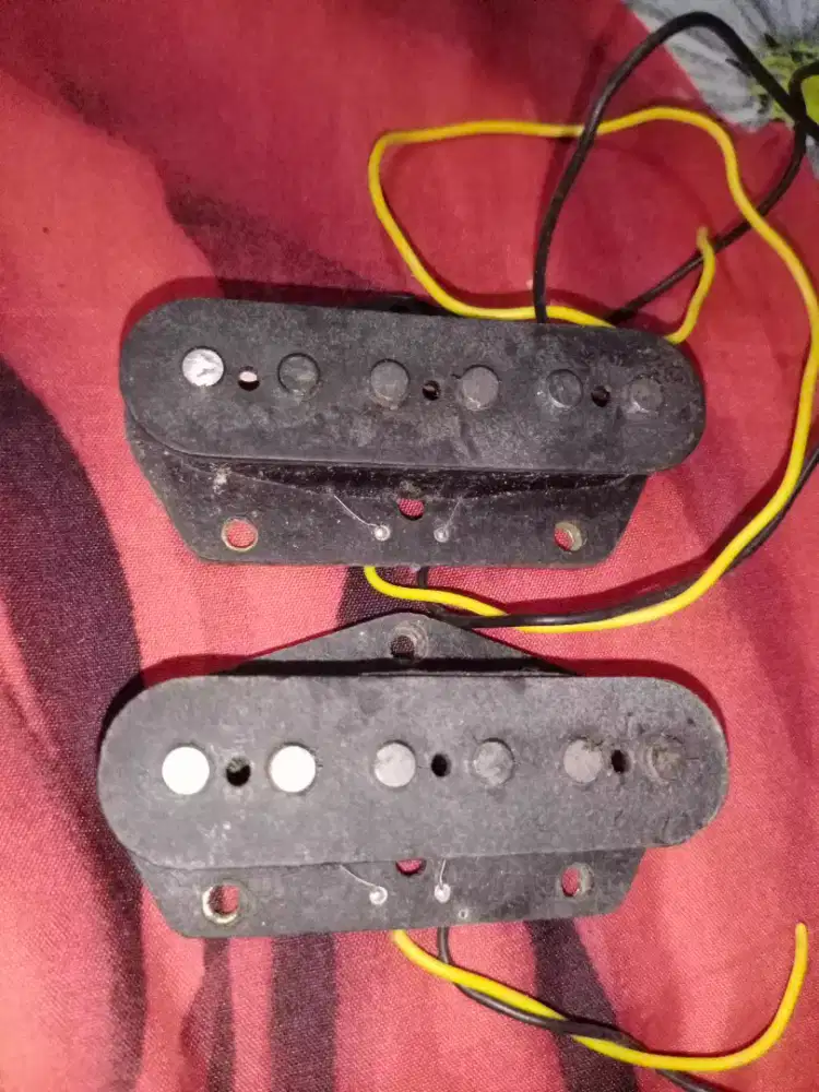 2 Pickup Telecaster Alnico