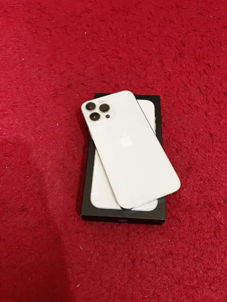 IPhone 13 pro max 256 gb silver