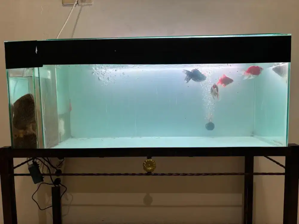 Aquarium Ikan Hias