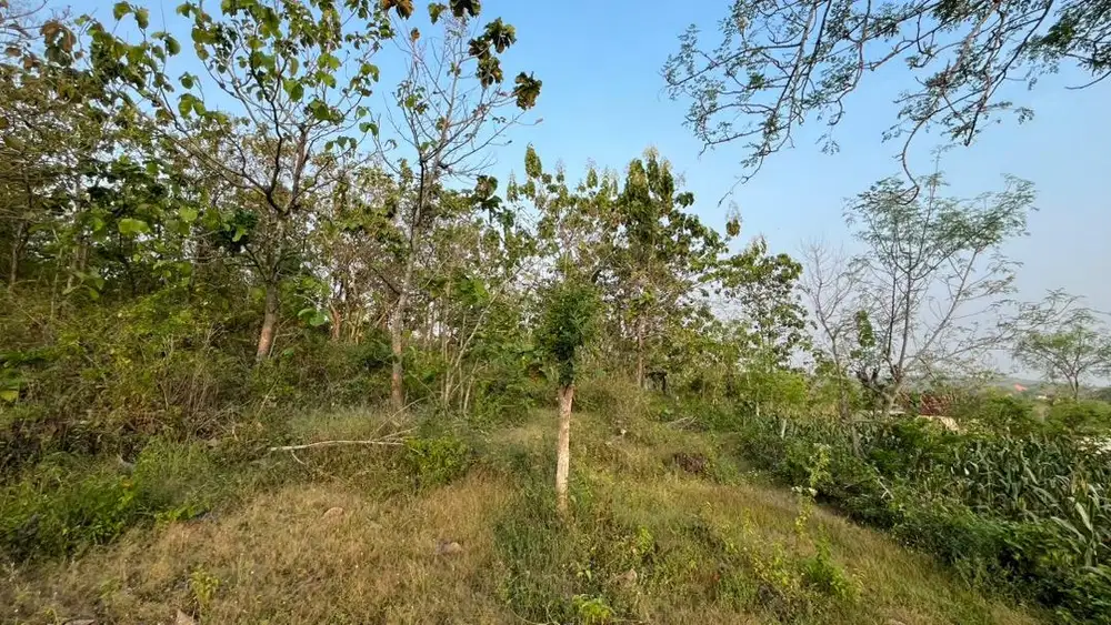 BU, dijual cepat tanah tegalan status petok D