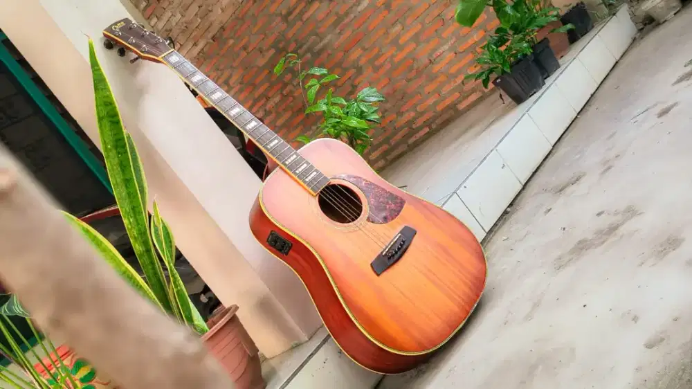 Gitar akustik elektrik cetta dr32se ms m original