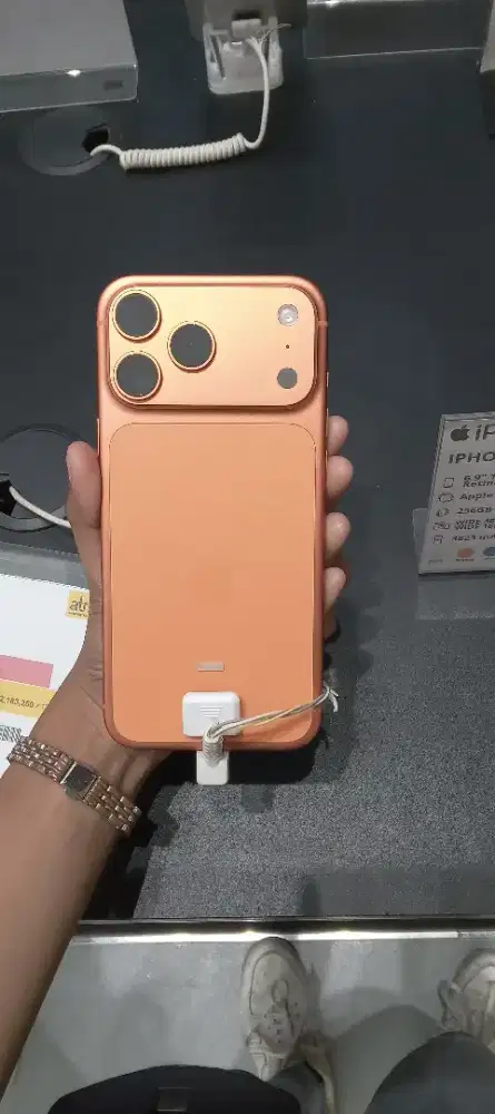 17 ProMax 256 GB