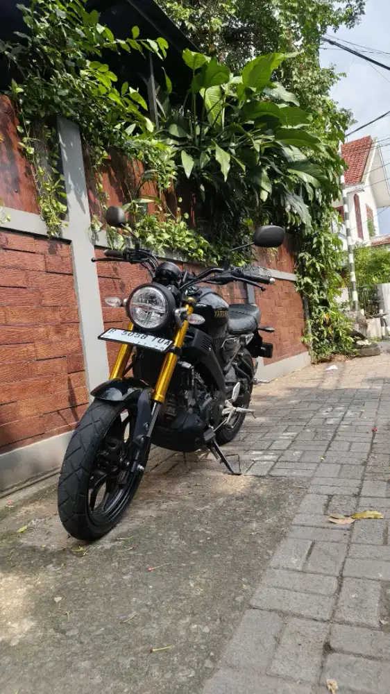 YAMAHA CSR 2024