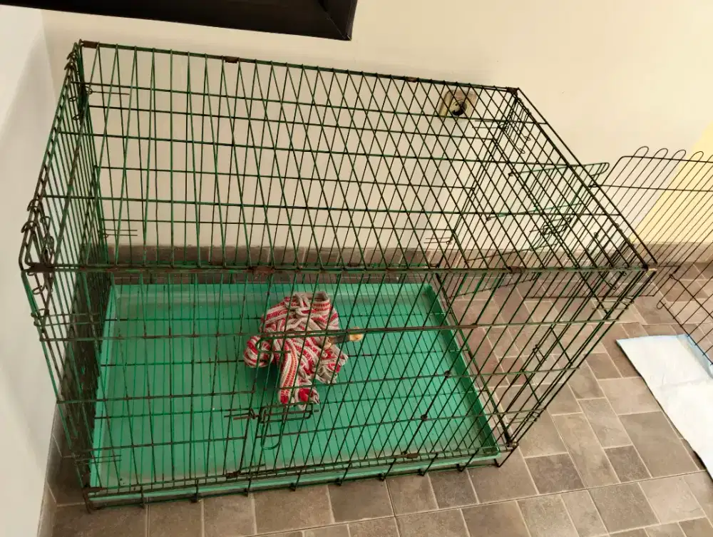 Di jual kandang besi XXL doggy