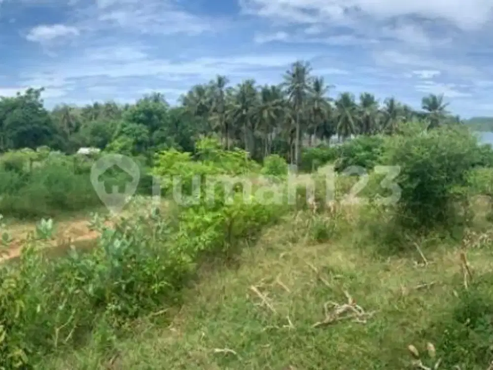 Dijual Tanah di Kawasan Pantai Dondon Lombok Tengah