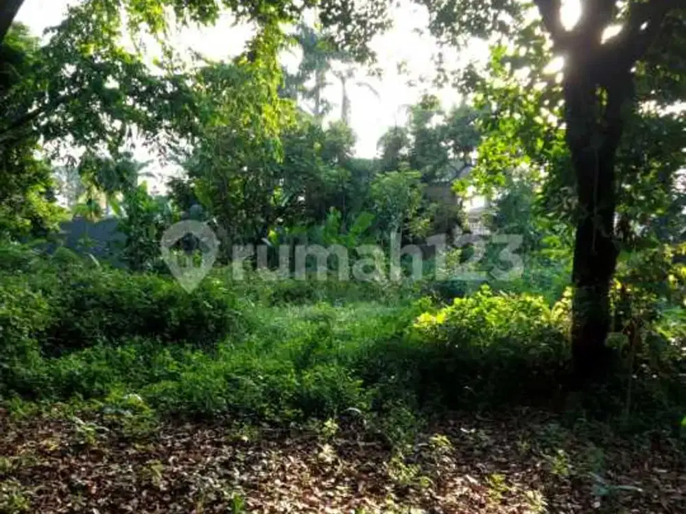 Dijual Cepat Tanah Untuk Pembuatan Cluster di Jatibening Bekasi