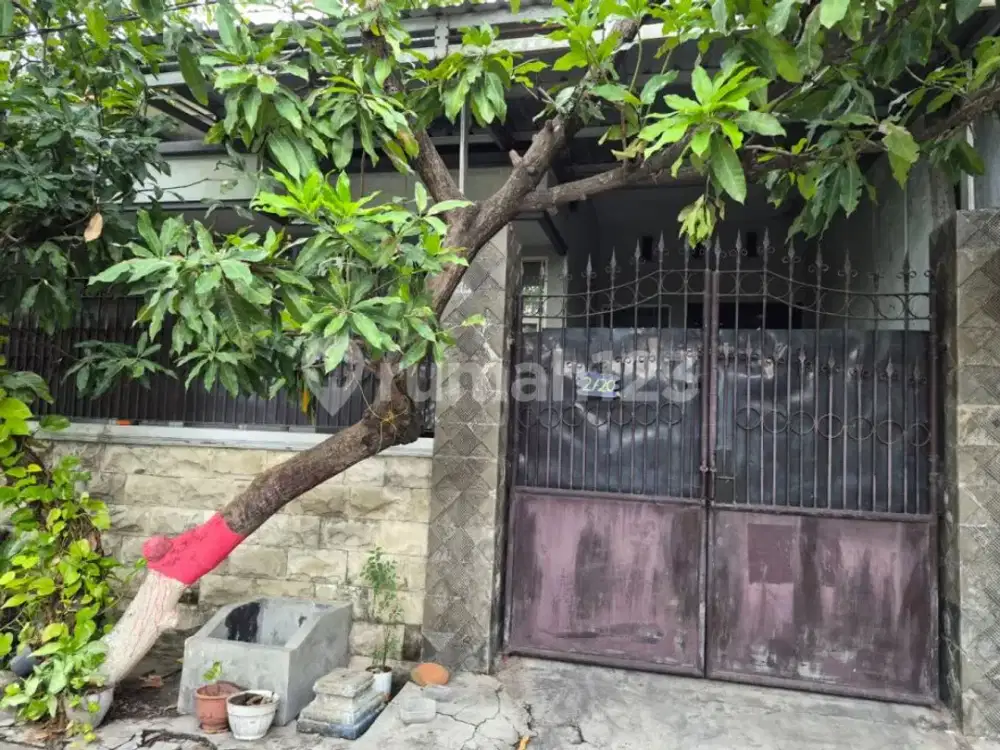 Dijual Via Lelang Rumah Wonorejo Rungkut