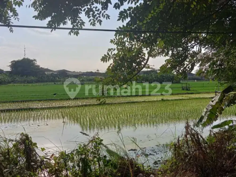 Dijual Tanah Nol Jalan Raya Lingkar Timur
