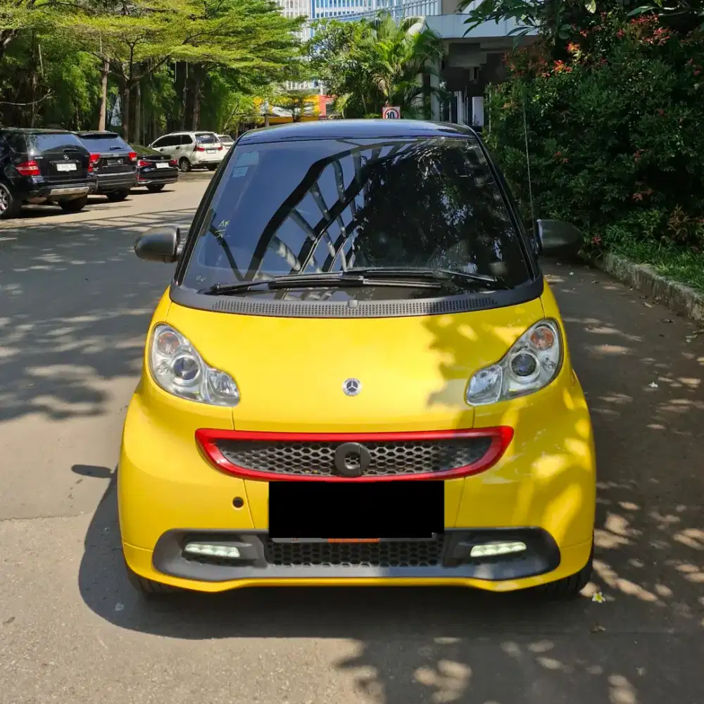 Smart for two 2013