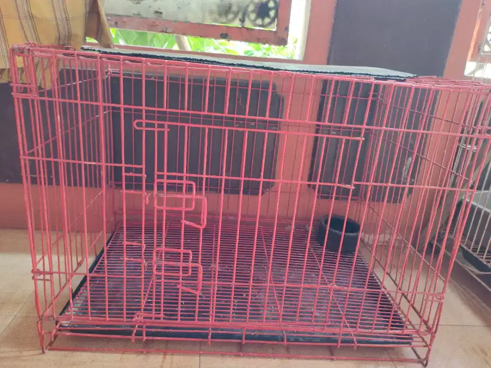 Dijual kandang kucing second