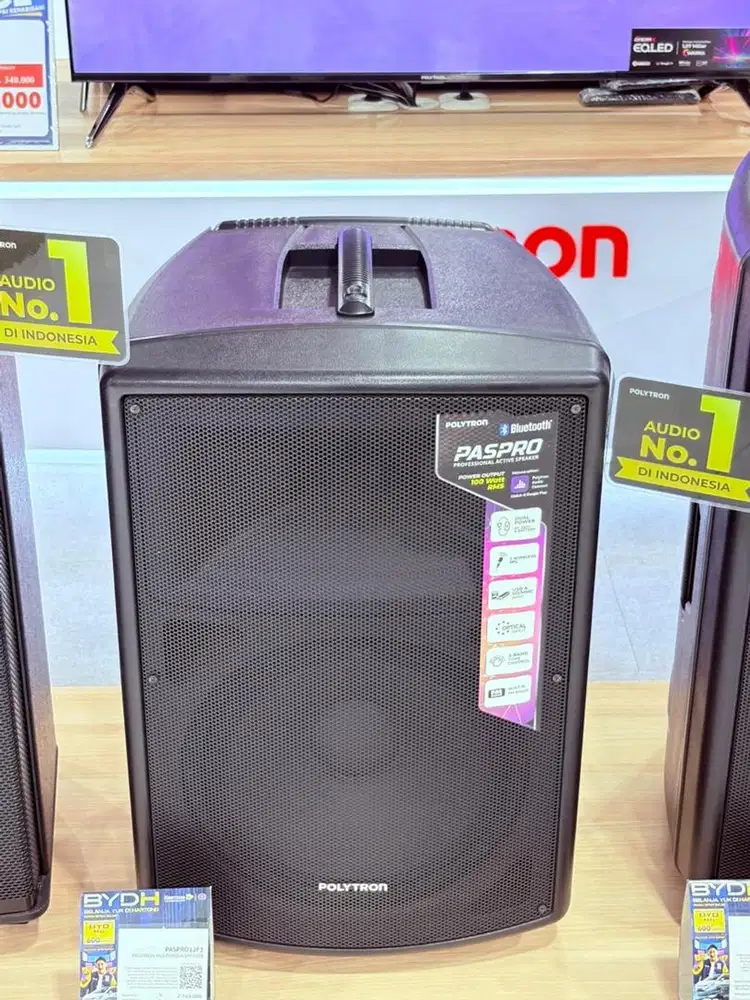Speaker Polytron Paspro12F3