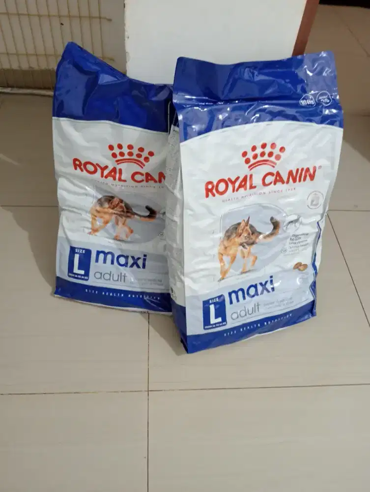 Royal Canin Maxi adult