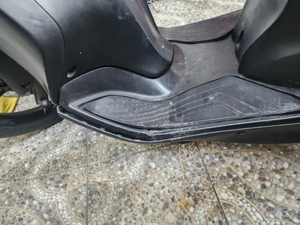 Lexi 2019 hitam
