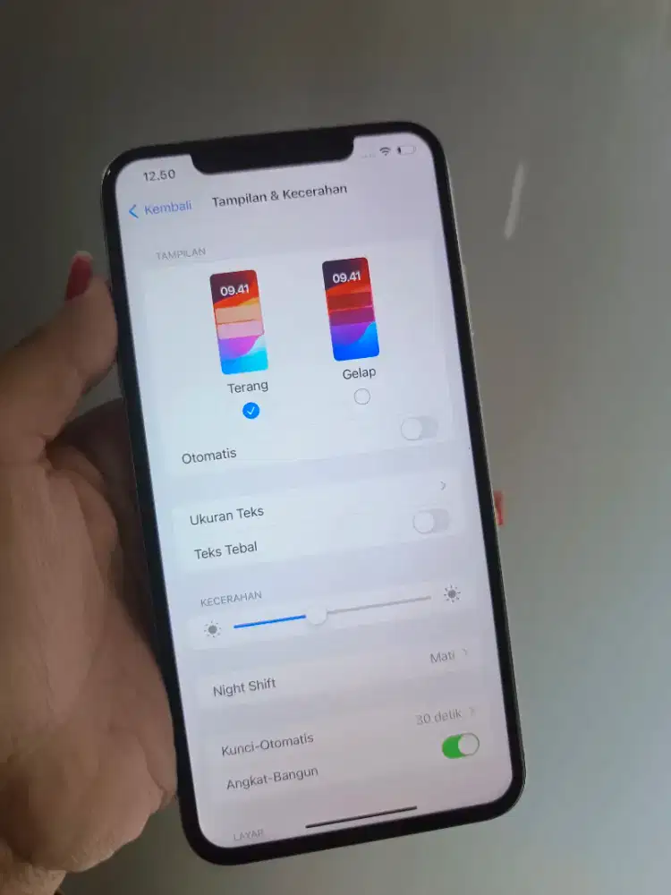 iPhone XS Max 64Gb Minus