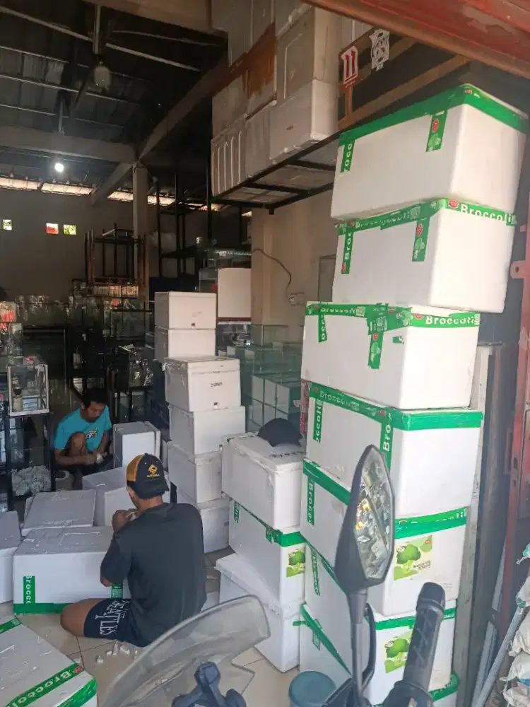 Box styrofoam Bekas untuk packing ikan,depok