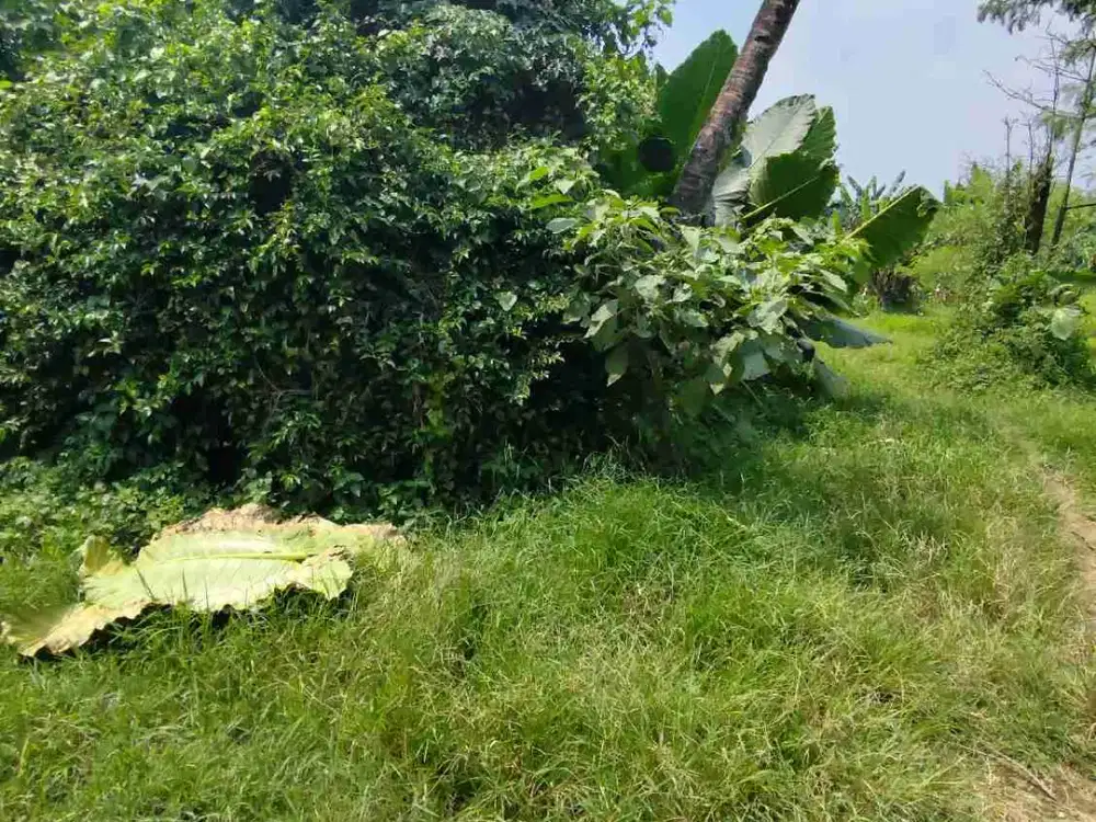 di sewakan lahan depan jalan utama Jatake malang nengah Tangerang
