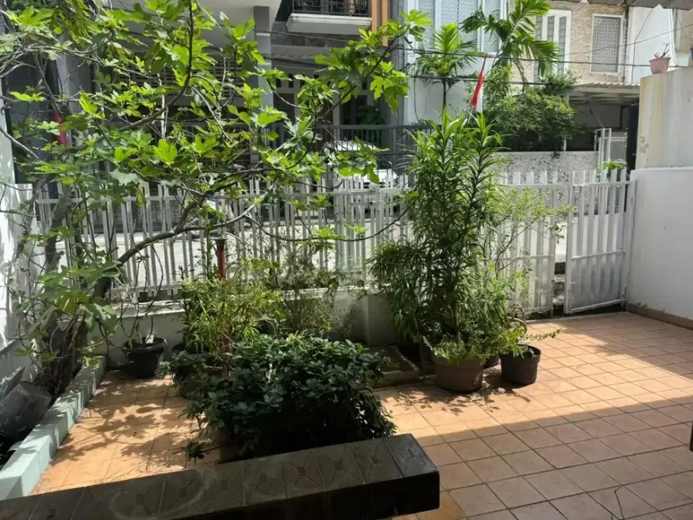 Rumah Merah Jambu, Kelapa Gading