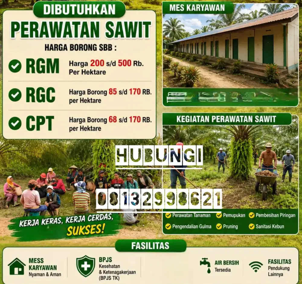 Dibutuhkan Segera !! Karyawan untuk Perusahaan/Perkebunan Sawit