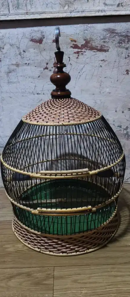 Sangkar tekukur baru