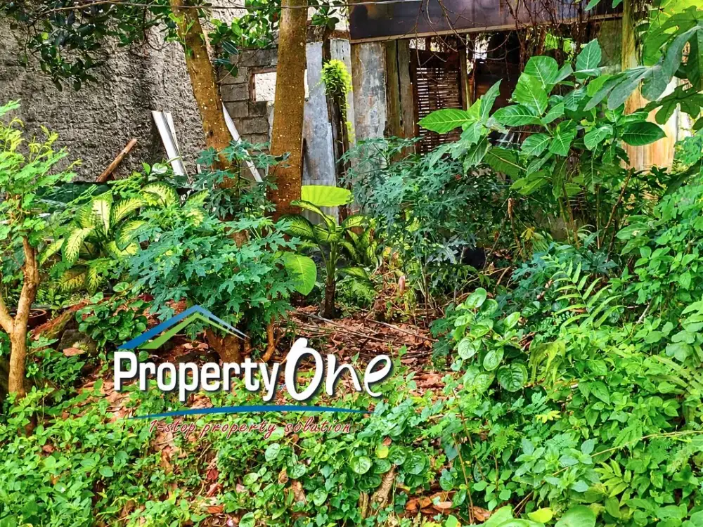 Jual Tanah Kavling di Bumi Puspitek Asri Pagedangan Dekat Kawasan BSD