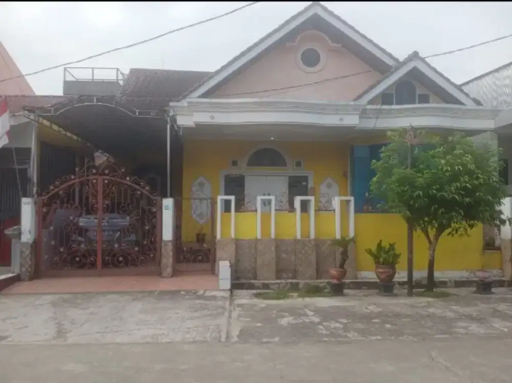 Rumah di Sewakan
