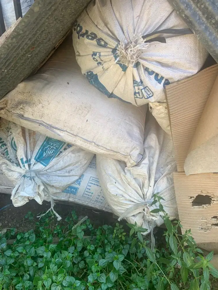 Jual kotoran walet