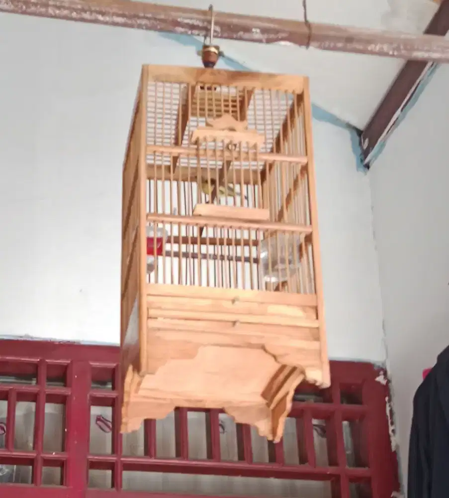 Burung borongan