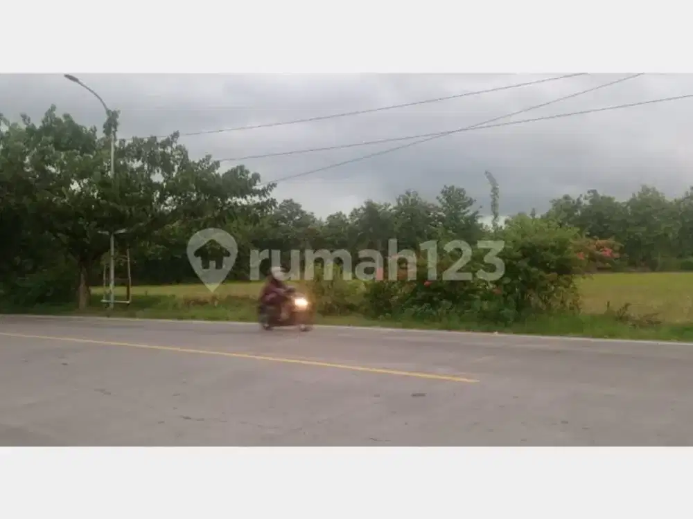 Dijual Tanah u. investasi  Strategis Jl. Raya Padangan-Bojonegoro