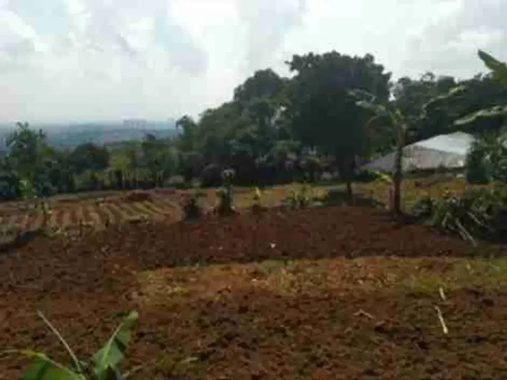 TANAH DISENTUL CIJAYANTI CUAN SHM