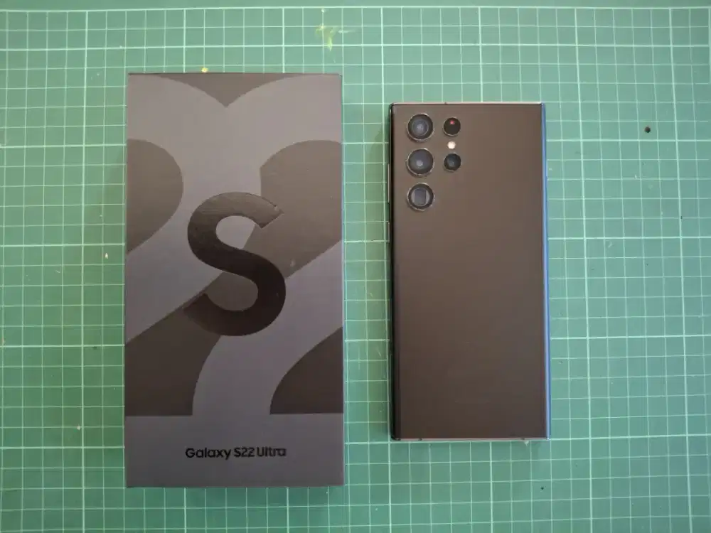 Samsung S22 Ultra Sein