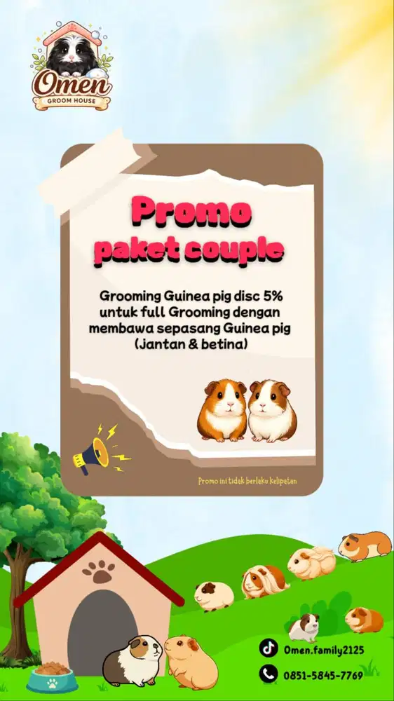 Jasa grooming Guinea pig / marmut