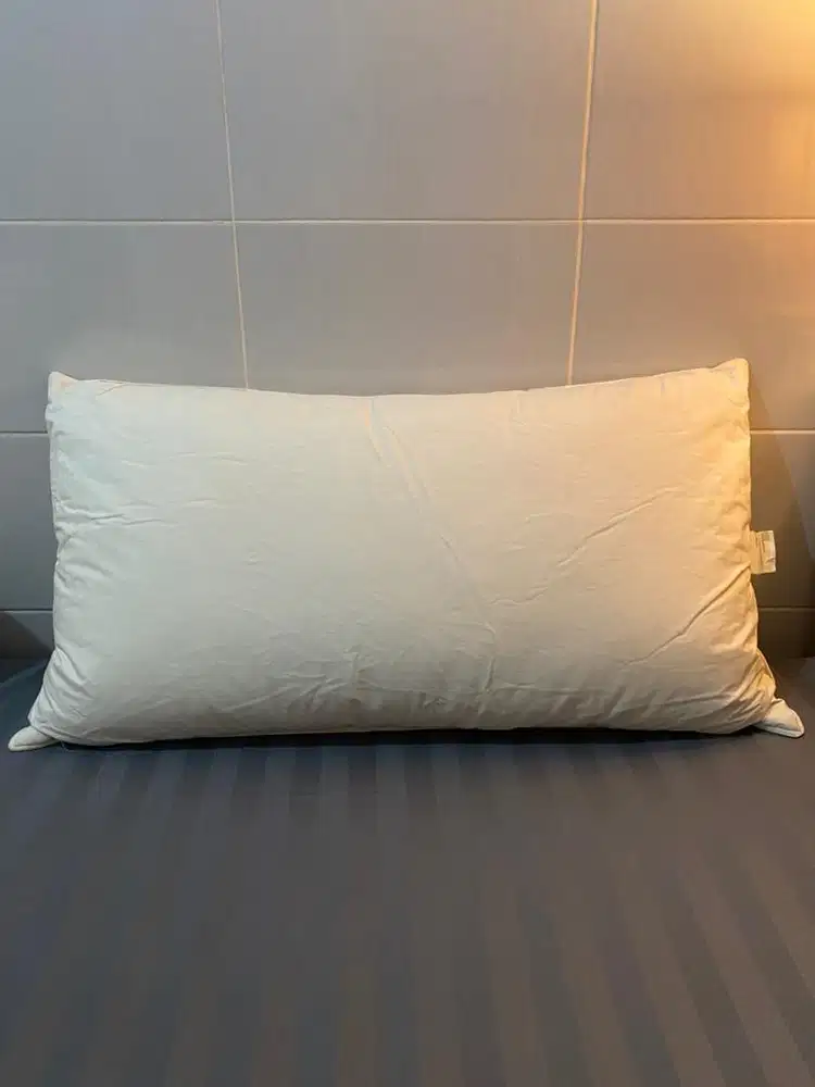 Bantal Bulu Angsa Serta King Size