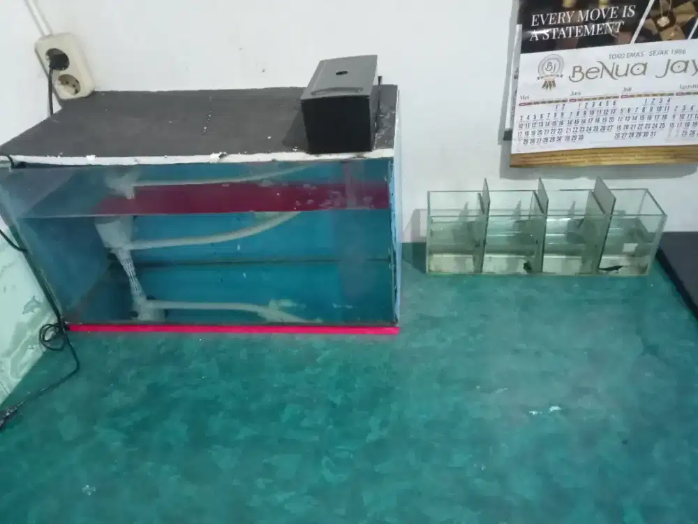 Aquarium 60x30x30