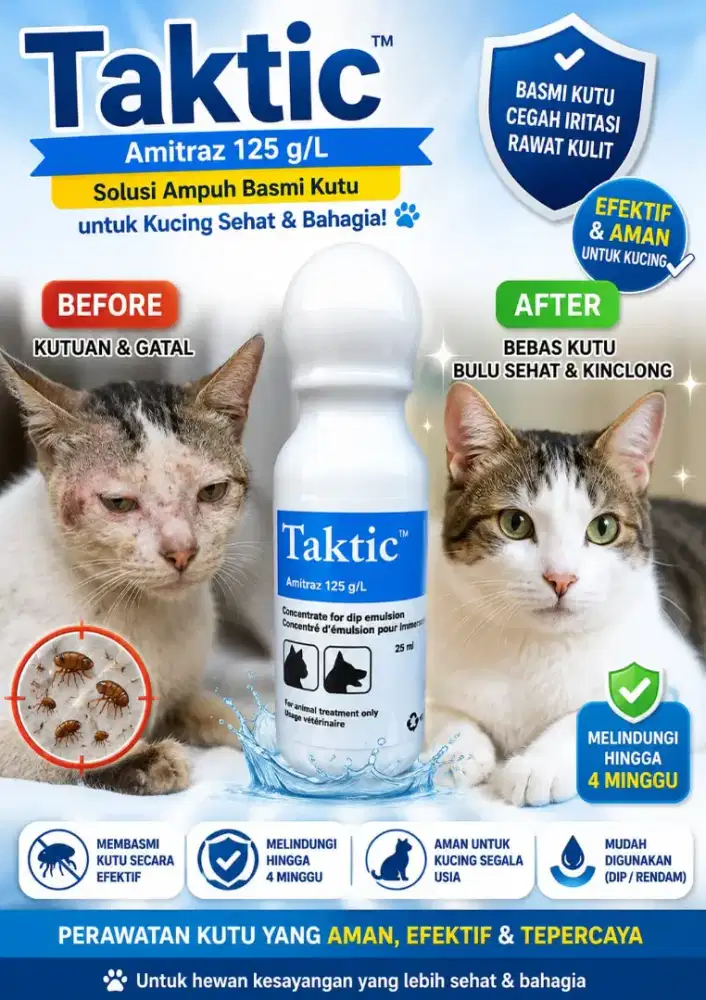 Amitraz Pembasmi Kutu dan Scabies Kucing kesayangan Anda