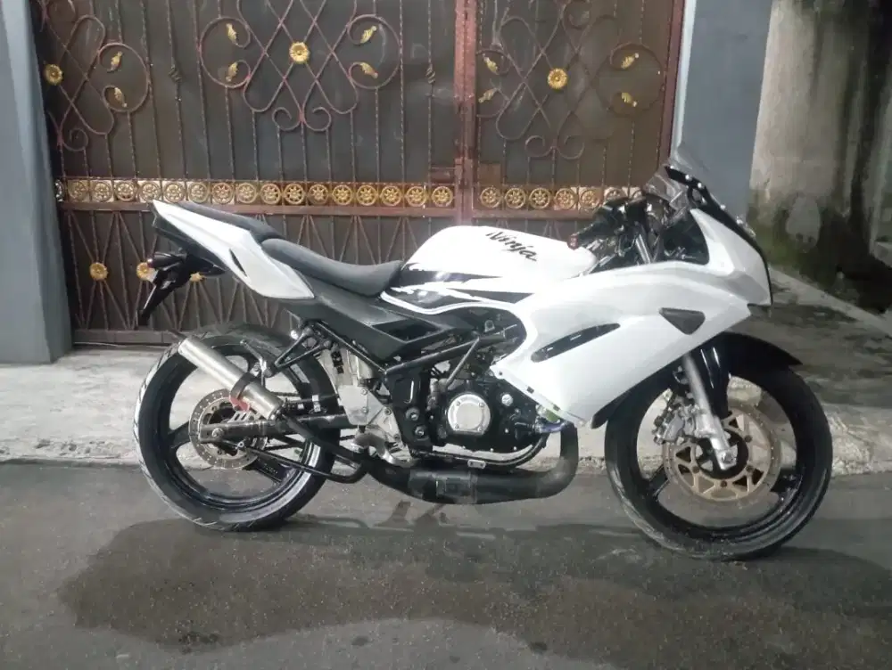 kawasaki ninja rr new
