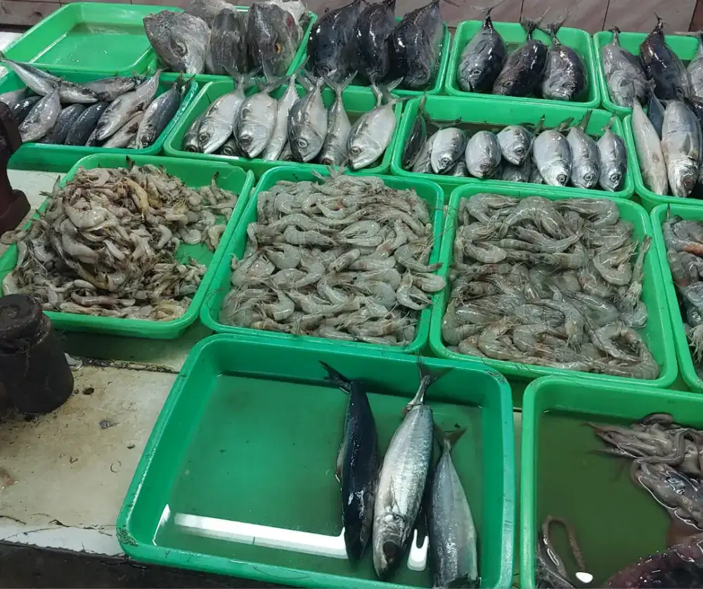 Ikan segar GRATIS ONGKIR + COD