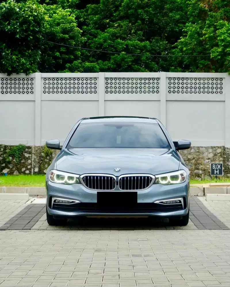 BMW 5301 LUXURY G30 2018