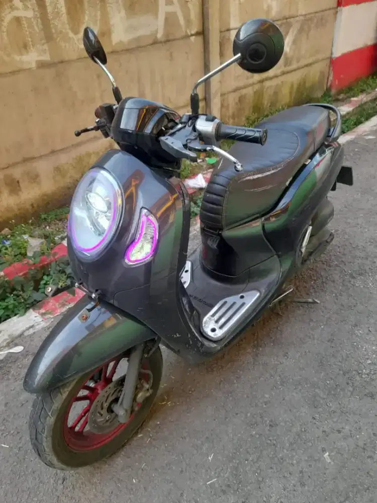 NEW SCOOPY DONUT 2020