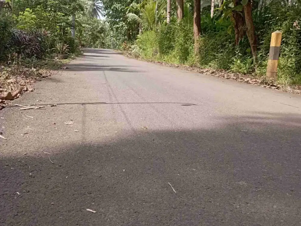 Dijual Tanah Murah 3 Sampai 50 Hektar
