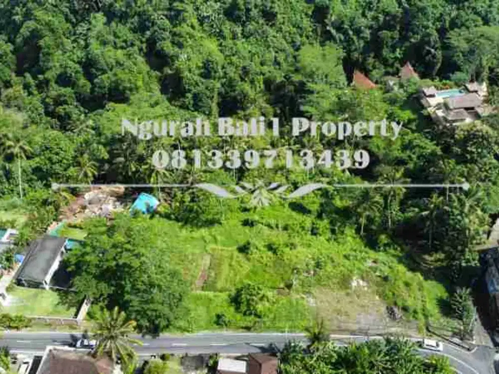 Disewakan Tanah Murah Luas 69,38 Are View Jungle dan Tebing di Ubud