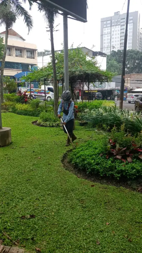 Jasa potong rumput