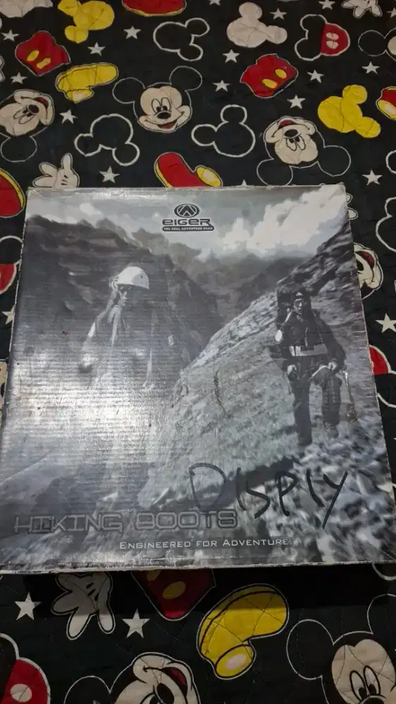 Eiger technical