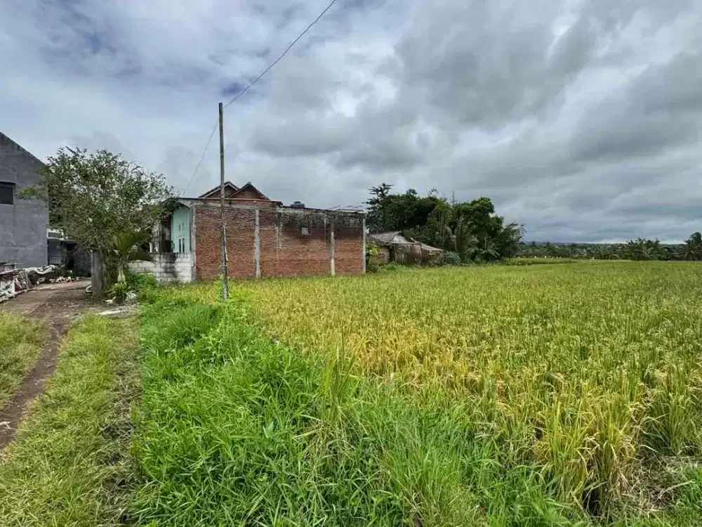 SAWAH MURAH POLL SURAT SERTIFIKAT MALANG