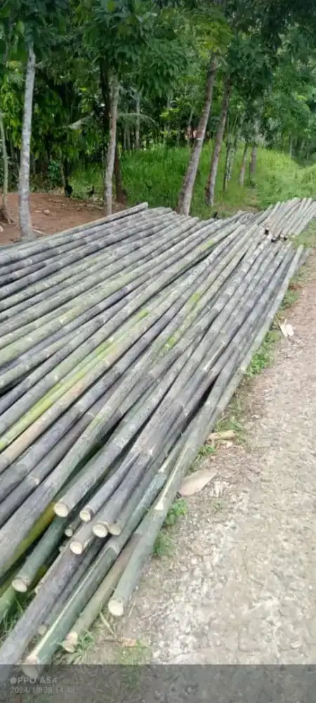 Bambu bahan bangunan