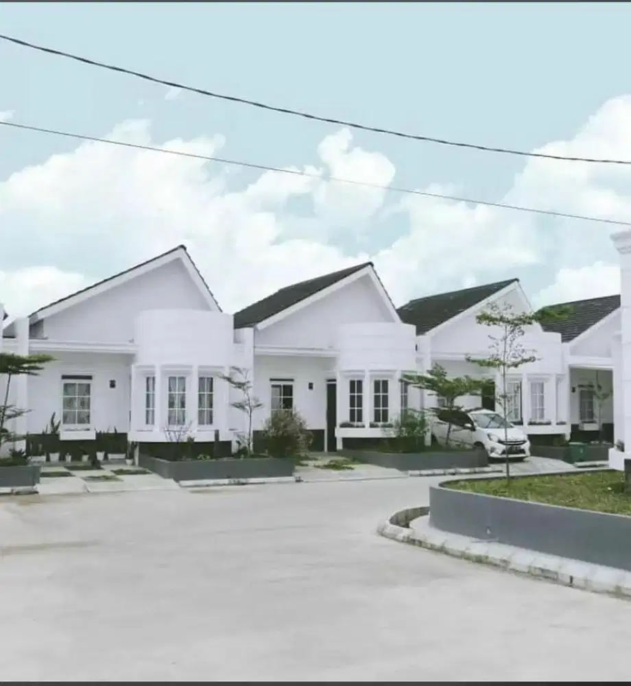 Dicari host live property