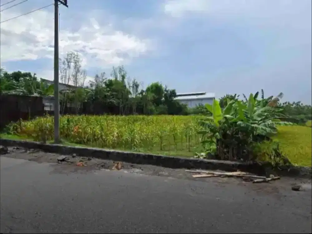 Dijual Tanah Pekarangan Super Strategis Lokasi Karanganyar Luas 2060m2