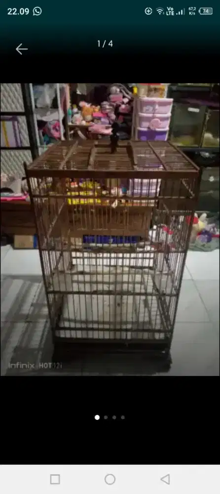 kandang kotak jumbo msh bgs
