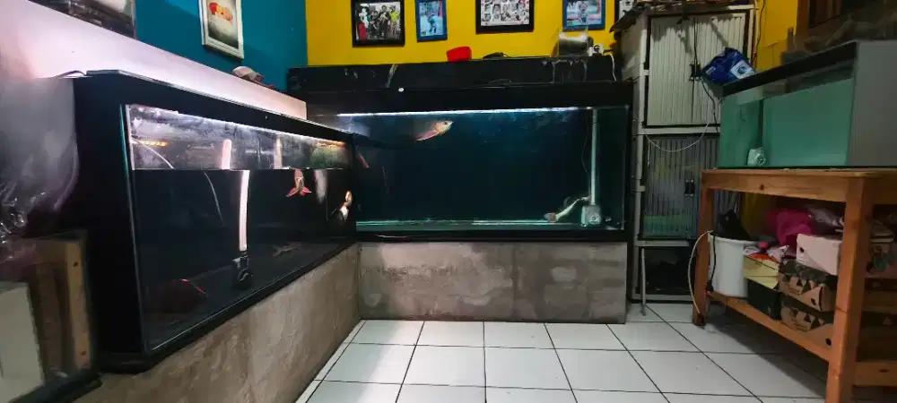 Jual Aquarium ukuran P180cm x T70cm x L60cm dan Talang Filter