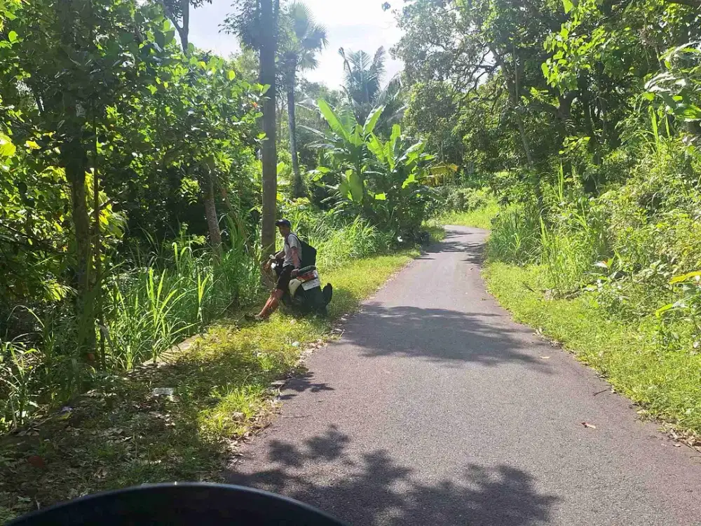 Tanah Murah di Bali