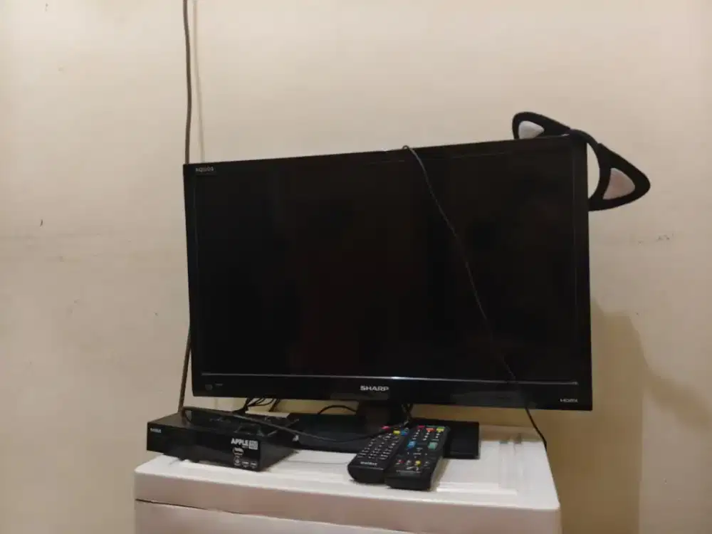 Tv Sharp 21inc no minus